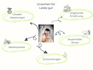 Oorzaken van Leaky gut syndroom