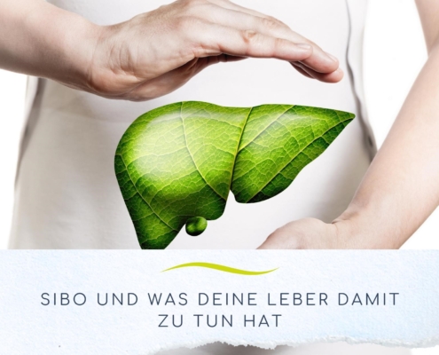 Zwei Hände halten schützend die Leber