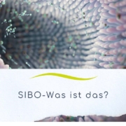 Darmmikrobiom