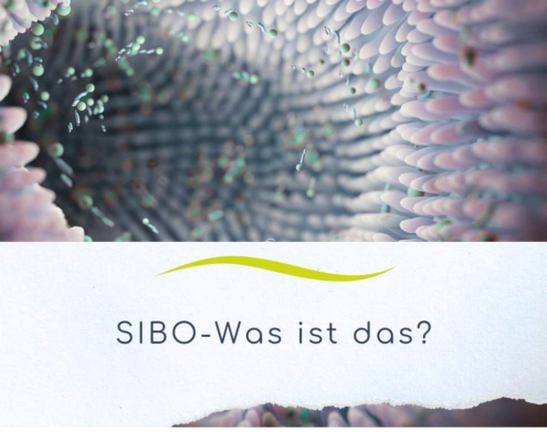 Darmmikrobiom