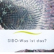 Darmmikrobiom